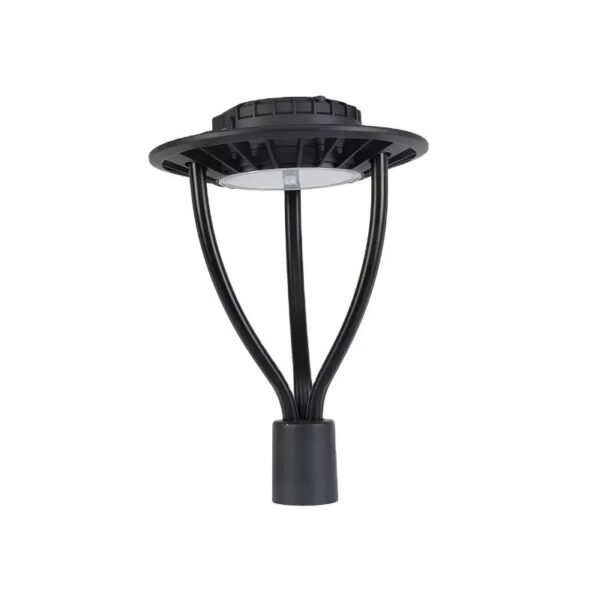 ORNAMENTAL AURUM 100W